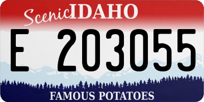 ID license plate E203055