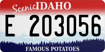 ID license plate E203056
