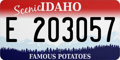 ID license plate E203057