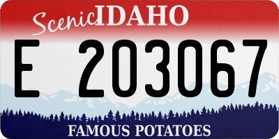 ID license plate E203067