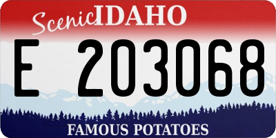 ID license plate E203068