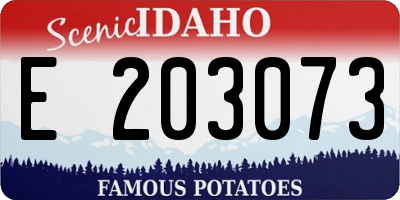 ID license plate E203073