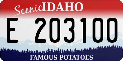 ID license plate E203100