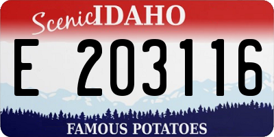 ID license plate E203116