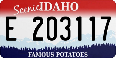 ID license plate E203117