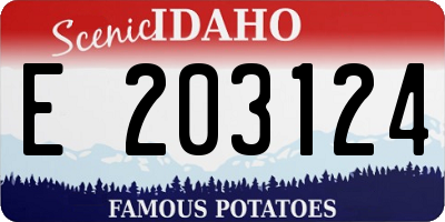 ID license plate E203124