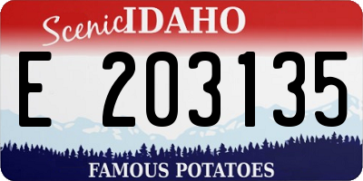 ID license plate E203135