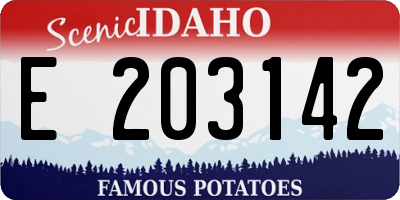 ID license plate E203142