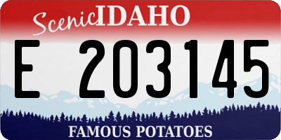 ID license plate E203145