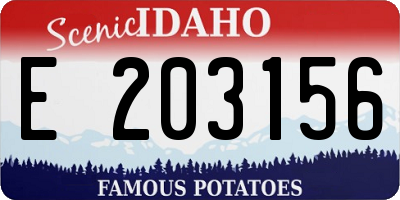 ID license plate E203156