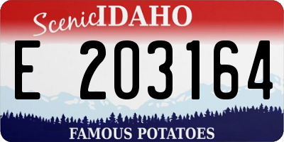 ID license plate E203164