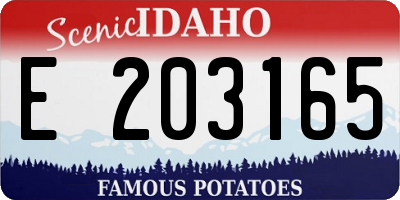 ID license plate E203165