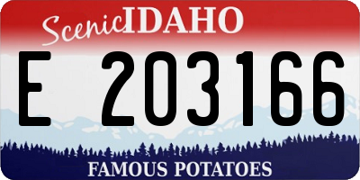 ID license plate E203166