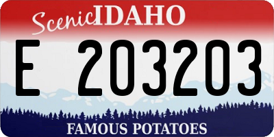 ID license plate E203203