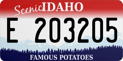 ID license plate E203205