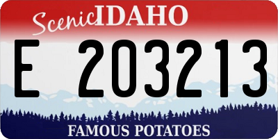 ID license plate E203213