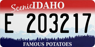 ID license plate E203217