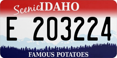 ID license plate E203224