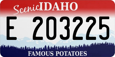 ID license plate E203225