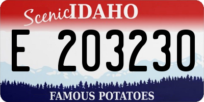 ID license plate E203230