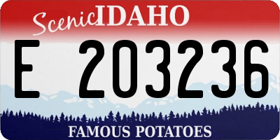 ID license plate E203236