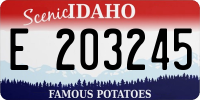 ID license plate E203245
