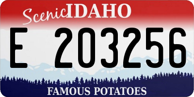 ID license plate E203256