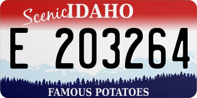 ID license plate E203264