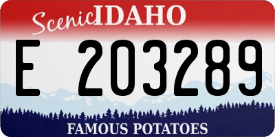 ID license plate E203289