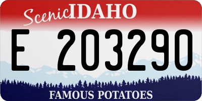 ID license plate E203290