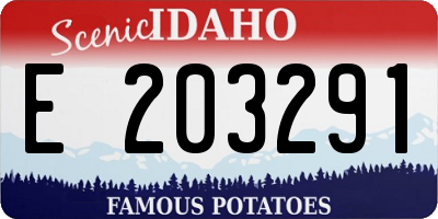 ID license plate E203291
