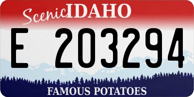 ID license plate E203294
