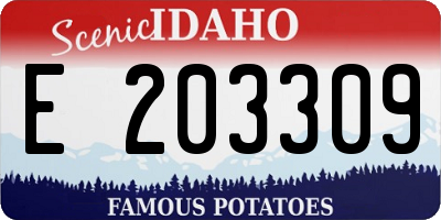 ID license plate E203309