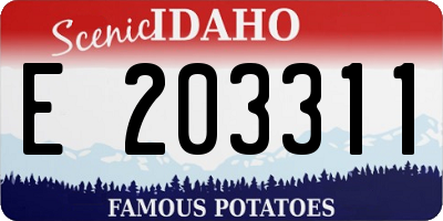 ID license plate E203311