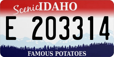 ID license plate E203314