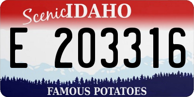 ID license plate E203316