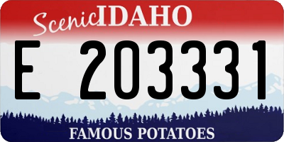 ID license plate E203331