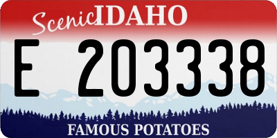 ID license plate E203338