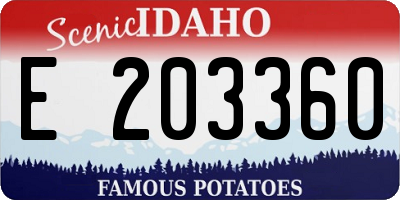 ID license plate E203360