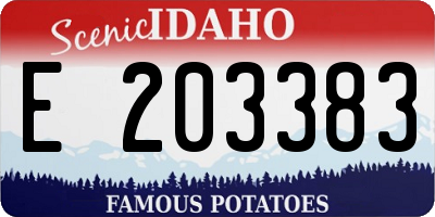ID license plate E203383