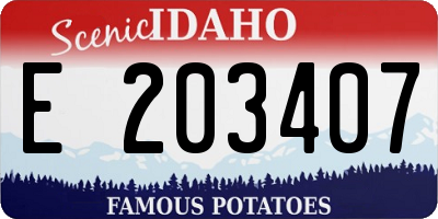 ID license plate E203407