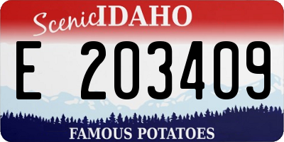 ID license plate E203409