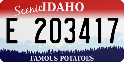 ID license plate E203417