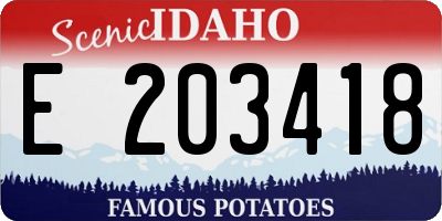 ID license plate E203418