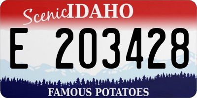 ID license plate E203428