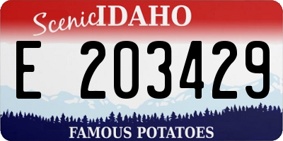 ID license plate E203429