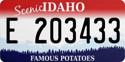 ID license plate E203433