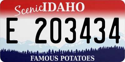 ID license plate E203434