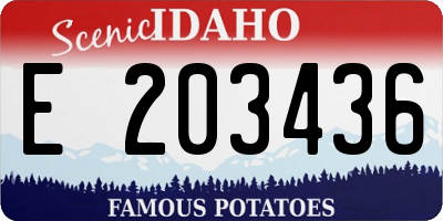 ID license plate E203436