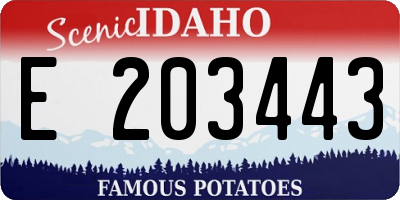 ID license plate E203443